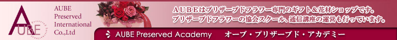 AUBE�v���U�[�u�h�A�J�f�~�[