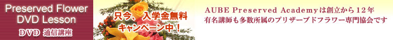 AUBE�t�����[�X�N�[�����ē�