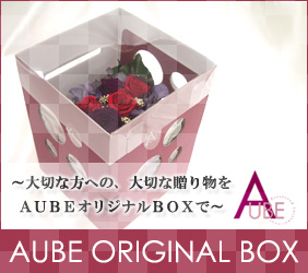 AUBE�̃v���U�[�u�h�t�����[�M�t�g�I���W�i���{�b�N�X