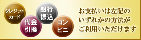 �v���U�[�u�h�t�����[���XAUBE�̂��x�������@