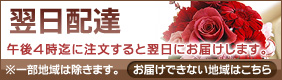 �v���U�[�u�h�t�����[���XAUBE�̗����z�B