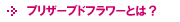 AUBE�̃v���U�[�u�h�t�����[�Ƃ́H