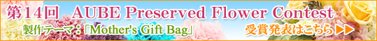 AUBE�v���U�[�u�h�t�����[�R���e�X�g��ܔ��\