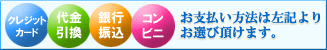 �v���U�[�u�h�t�����[���XAUBE�̂��x�������@