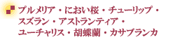 �v���U�[�u�h�t�����[�E�v�������A�E�ɂ������E�W���X�~���E�`���[���b�v�E�X�Y����