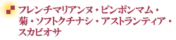 �v���U�[�u�h�t�����[�E�t�����`�}���A���k�E�s���|���}���E�\�t�g�N�`�i�V�E�A�X�g�����e�B�A�E�f���t�@���E�W���X�~���E�X�J�r�I�T�E�u���[�X�^�[
