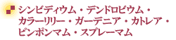 �v���U�[�u�h�t�����[�E�V���r�f�B�E���E�f���h���r�E���E�J���[�����[�E�K�[�f�j�A�E�J�g���A