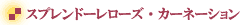 �v���U�[�u�h�t�����[�E�X�v�����h�[��