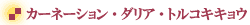 �v���U�[�u�h�t�����[�E�g���R�L�L���E�E�_���A