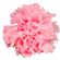�v���U�[�u�h�t�����[�E�J�[�l�[�V����