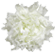�v���U�[�u�h�t�����[�E�J�[�l�[�V����