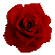 �v���U�[�u�h�t�����[�E�e�t�e�t���[�Y