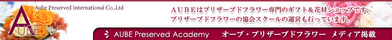 AUBE�v���U�[�u�h�A�J�f�~�[
