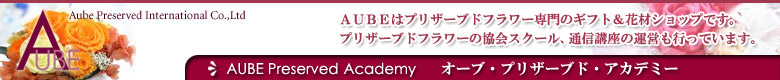 AUBE�v���U�[�u�h�A�J�f�~�[