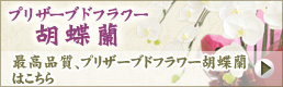 �Ӓ����y�[�W��