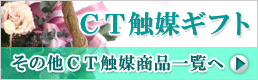 ���̑��b�s�G�}���i�ꗗ��