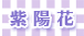 プリザーブドフラワー・紫陽花