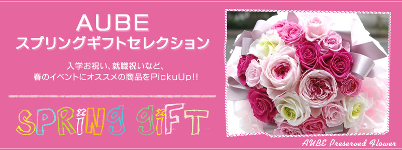 o^Cf[ɑAUBẼvU[uht[Mtg