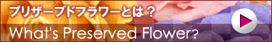 AUBẼvU[uht[Ƃ́H