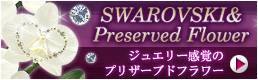 swarovskiy[W