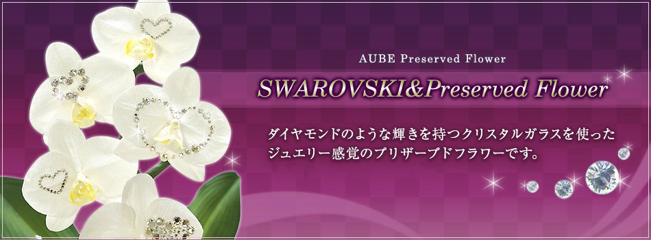 SWAROVSKIvU[uht[